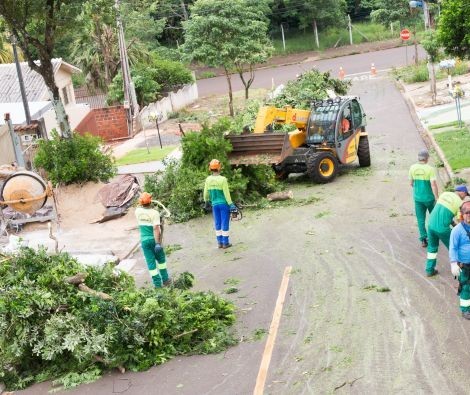Prefeitura inicia cadastro de empresa para corte de árvores