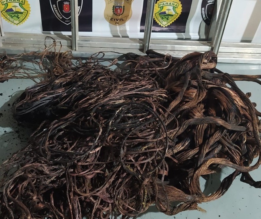 Quatro suspeitos são presos furtando 60 kg de fios de cobre em Maringá