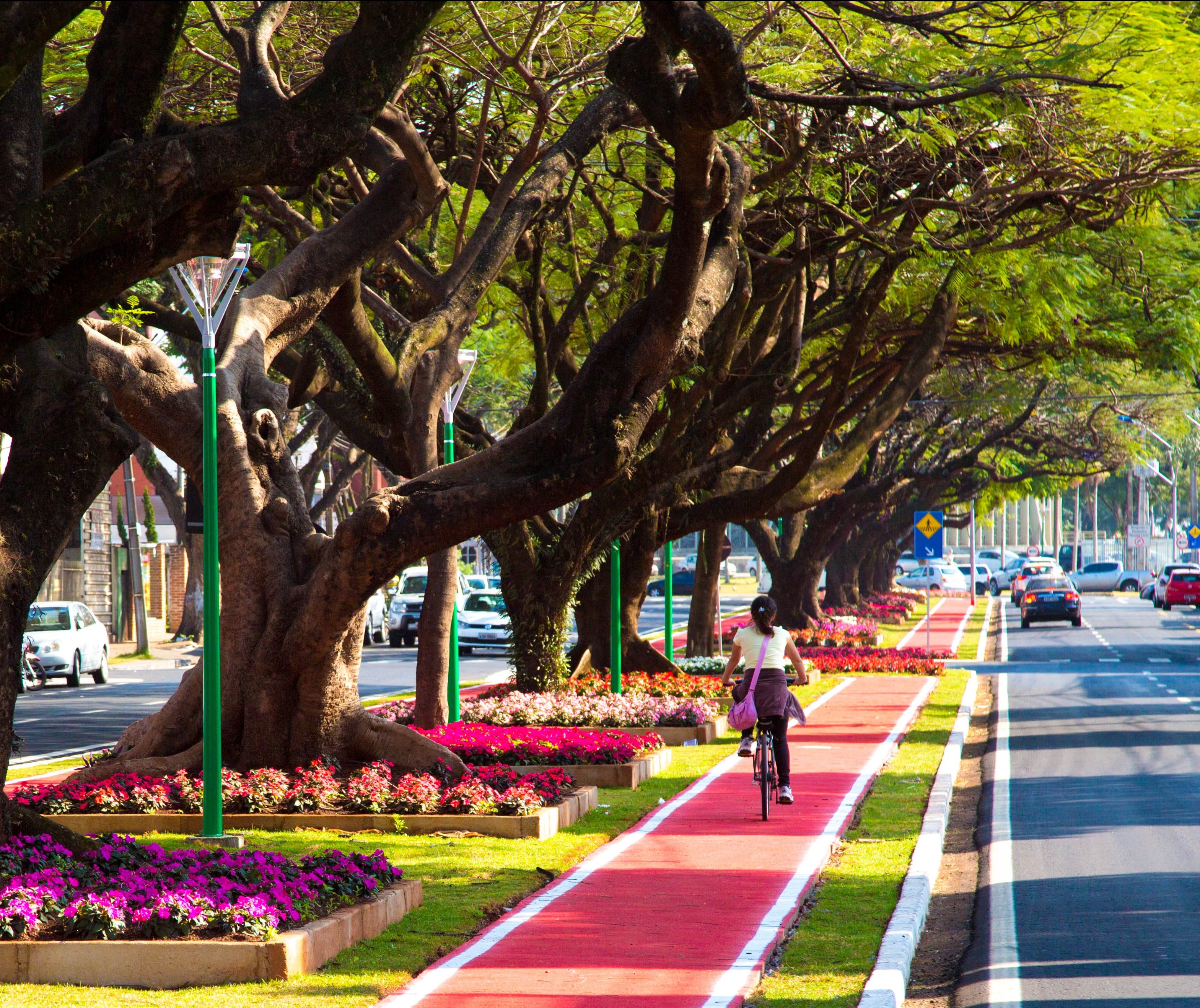 Gilson Aguiar comenta as regras para ciclistas e pedestres