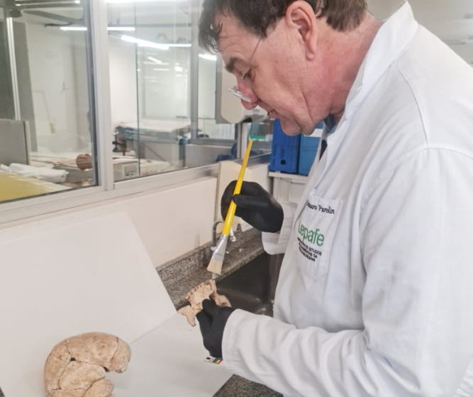 Pesquisadores analisam tártaro encontrado em crânios de dois mil anos