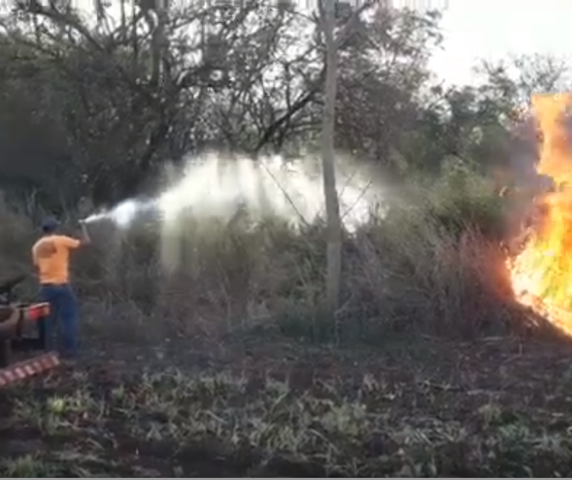 Vídeo: bombeiros combatem incêndio ambiental em Maringá