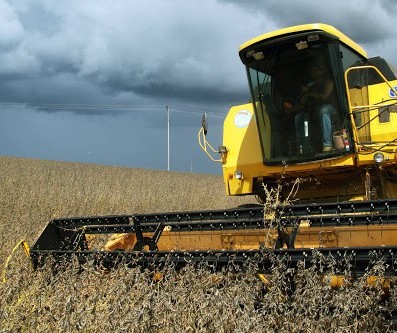 Colheita da soja no Paraná atinge 42% da área total semeada no estado