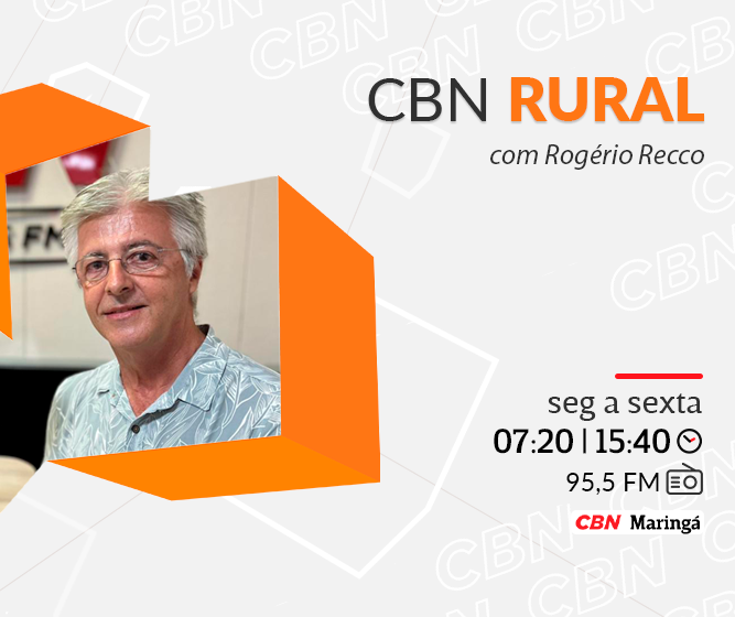 Produzir bioinsumo na propriedade rural requer cuidados