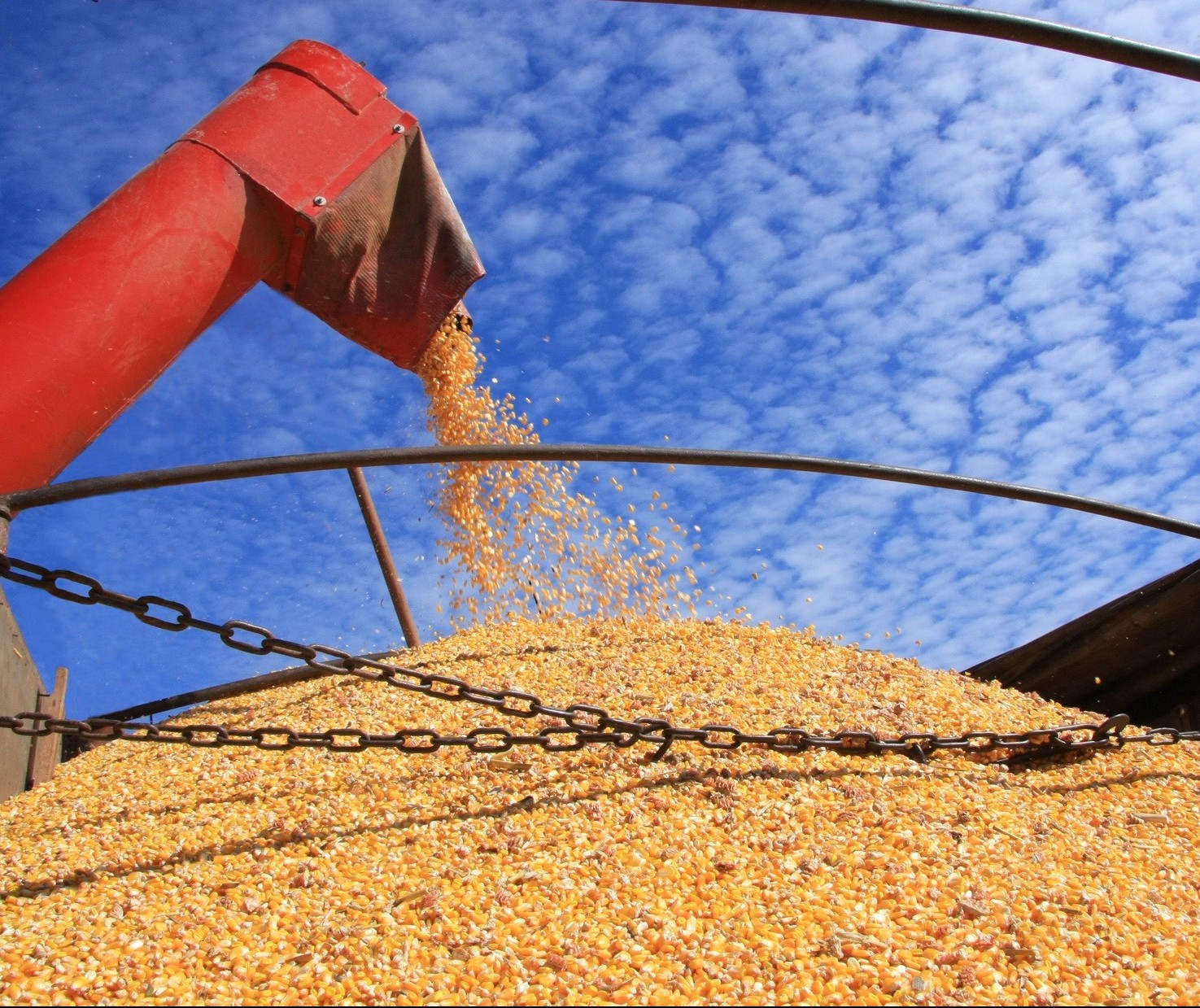 Colheita da soja chega a 74% no Paraná