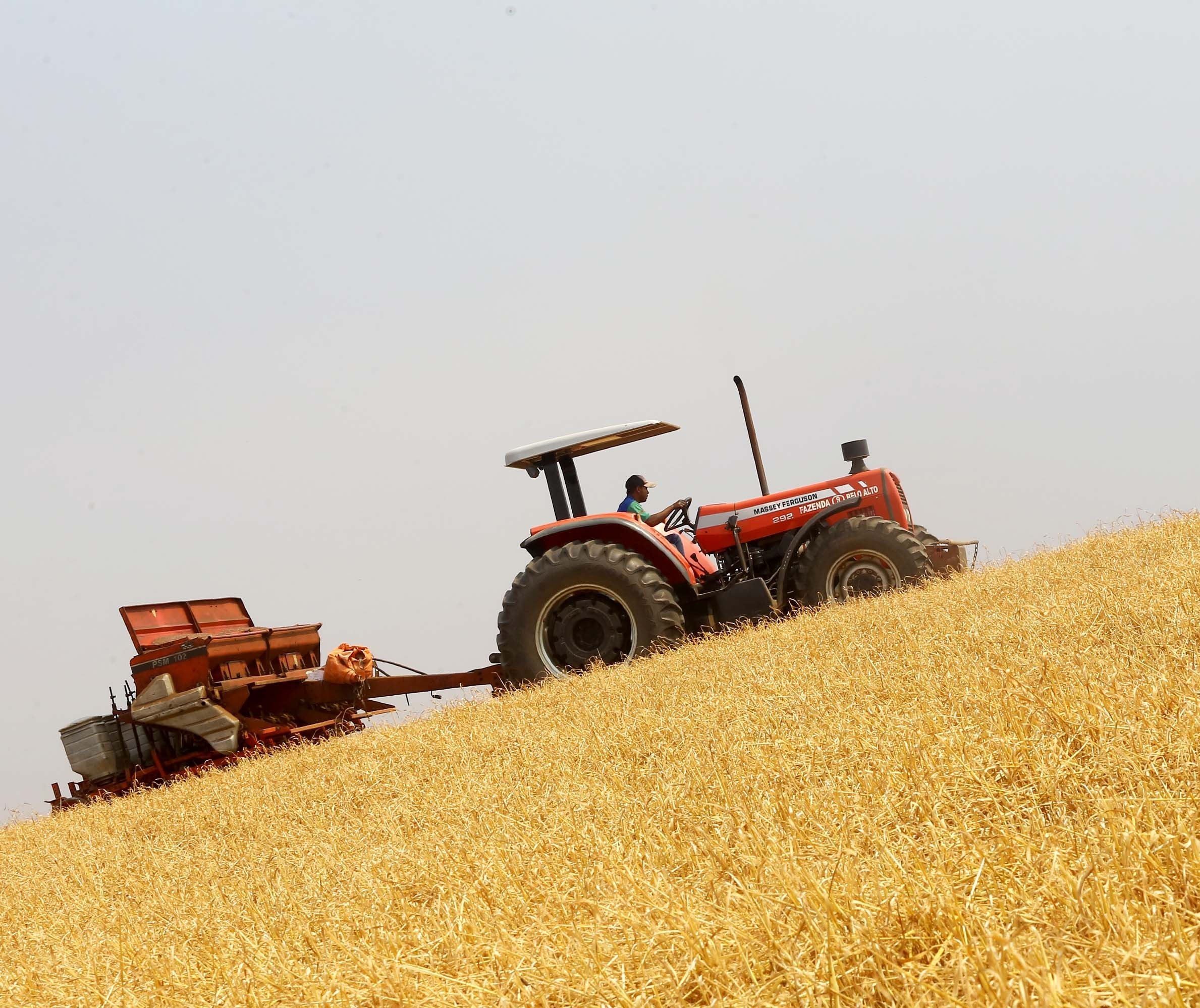 Segunda safra de milho do Paraná é estimada em 16 milhões de toneladas 