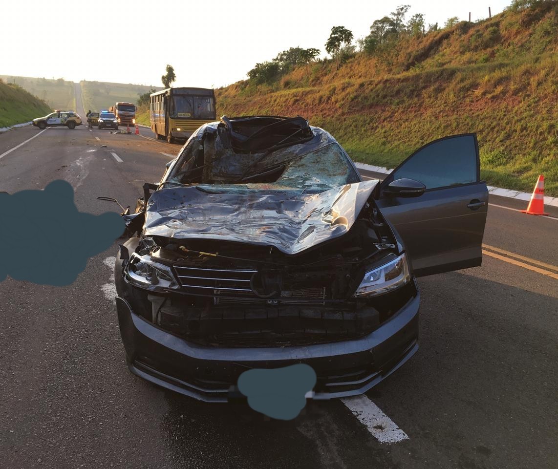 Carro atropela e mata idoso e cavalo na BR-487