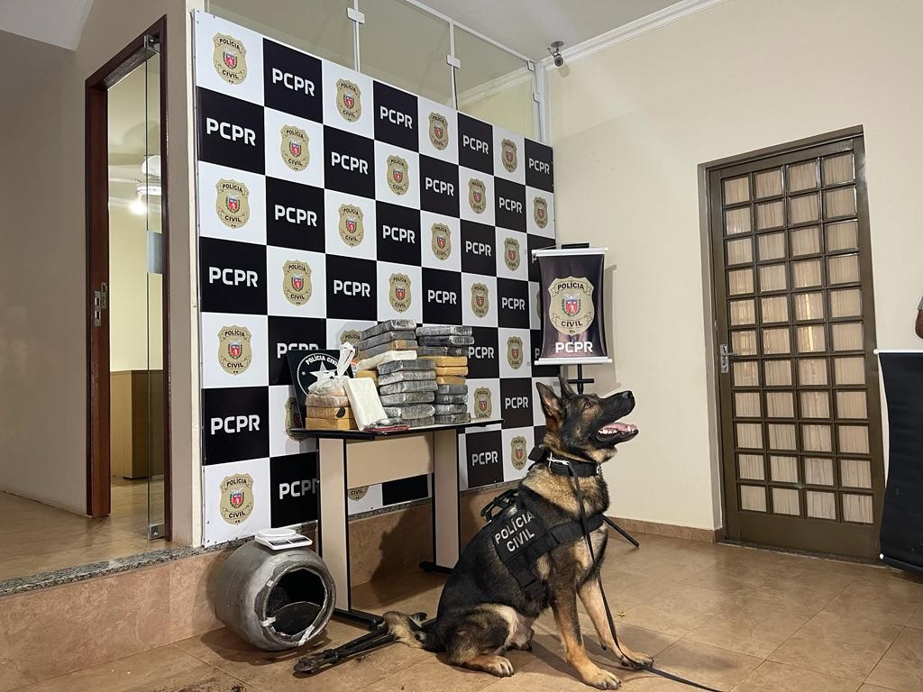 Denarc apreende 22 kg de cocaína e prende 4 pessoas em operação