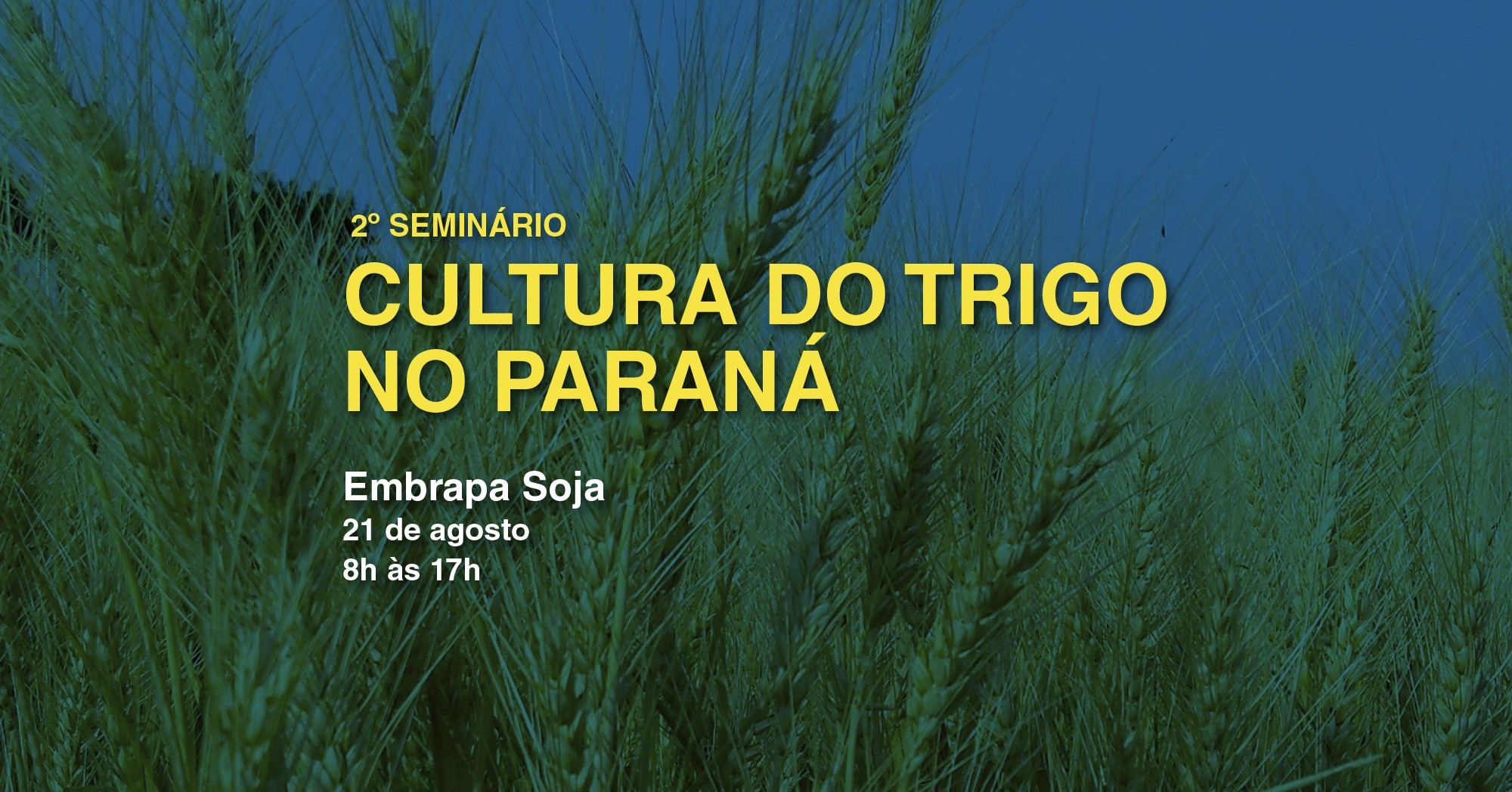 2º Seminário da Cultura do Trigo no Paraná será dia 21 de agosto, em Londrina