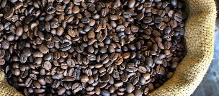 Café em coco custa R$ 6,16 o quilo em Maringá