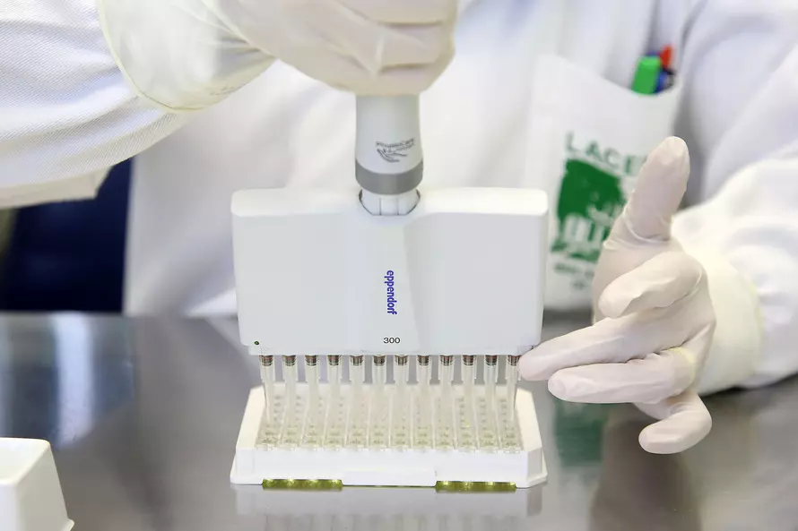 Saiba os dados do boletim da Covid-19 desta segunda-feira (14) em Maringá