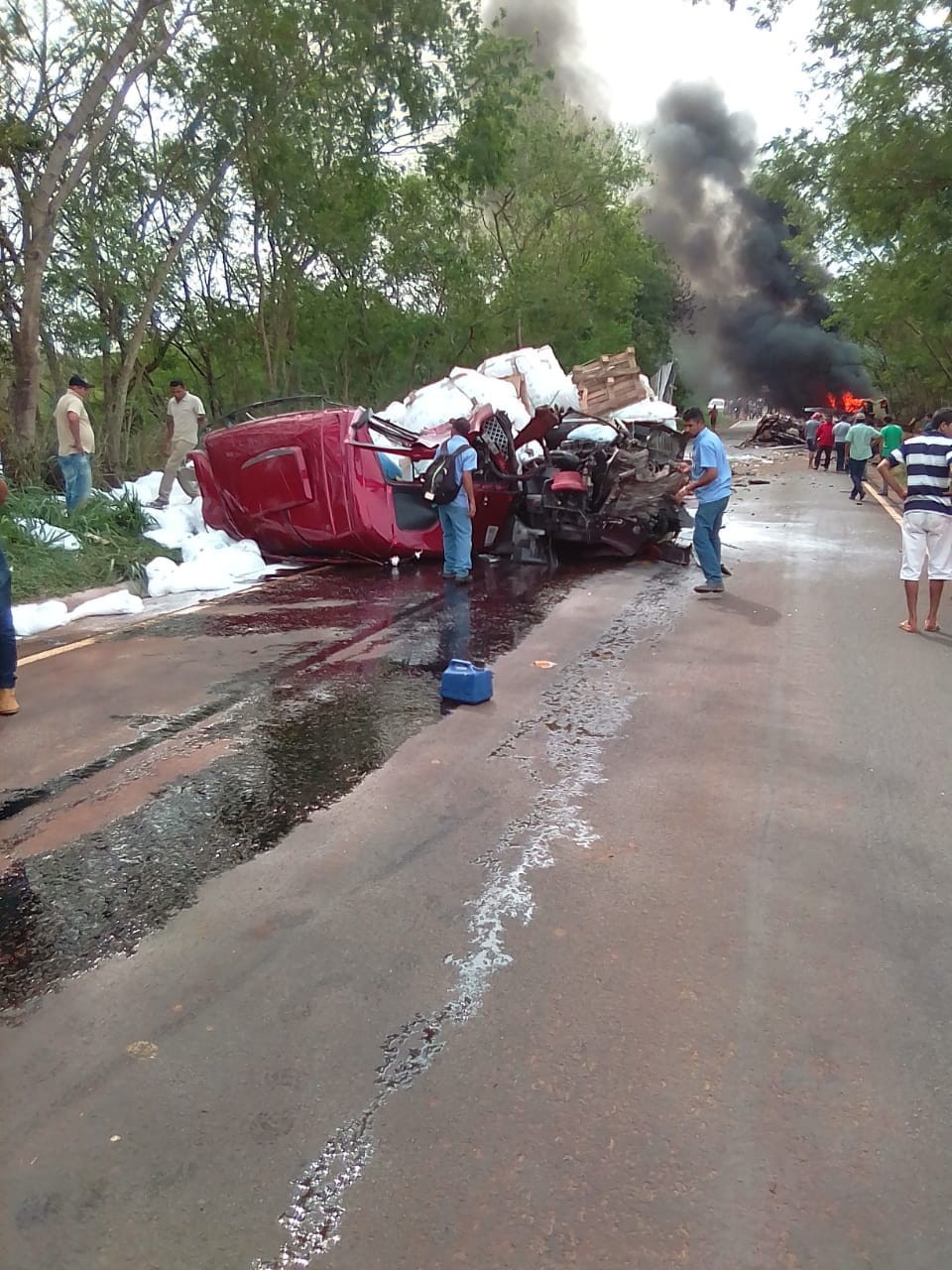Está na UTI motorista de micro-ônibus envolvido em acidente na PR-082