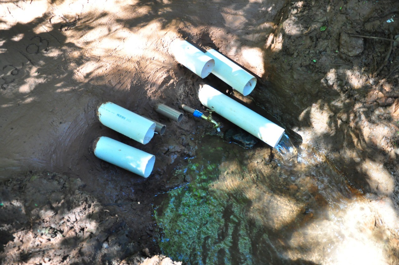 Projeto para revitalização de nascentes é realizado em propriedades da região