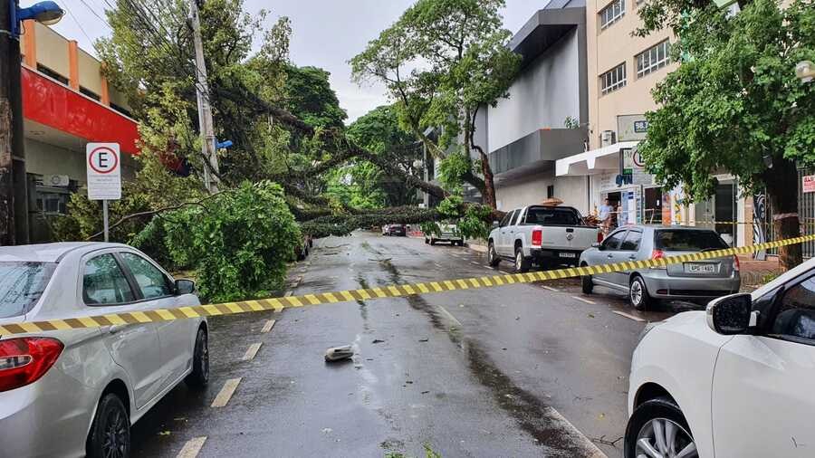 Chuva derruba mais de 30 árvores e deixa cerca de 10 mil imóveis sem energia em Maringá