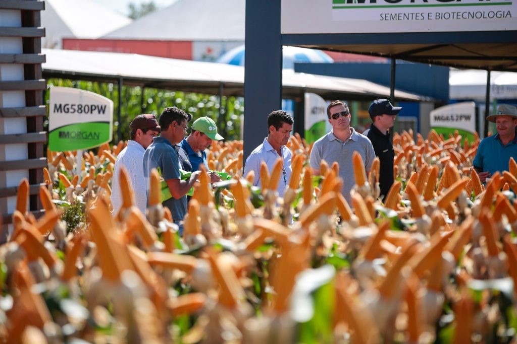 Participação de produtores do Show Rural em Cascavel é alta