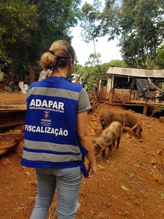Adapar mantém ritmo para garantir status sanitário e alimentos