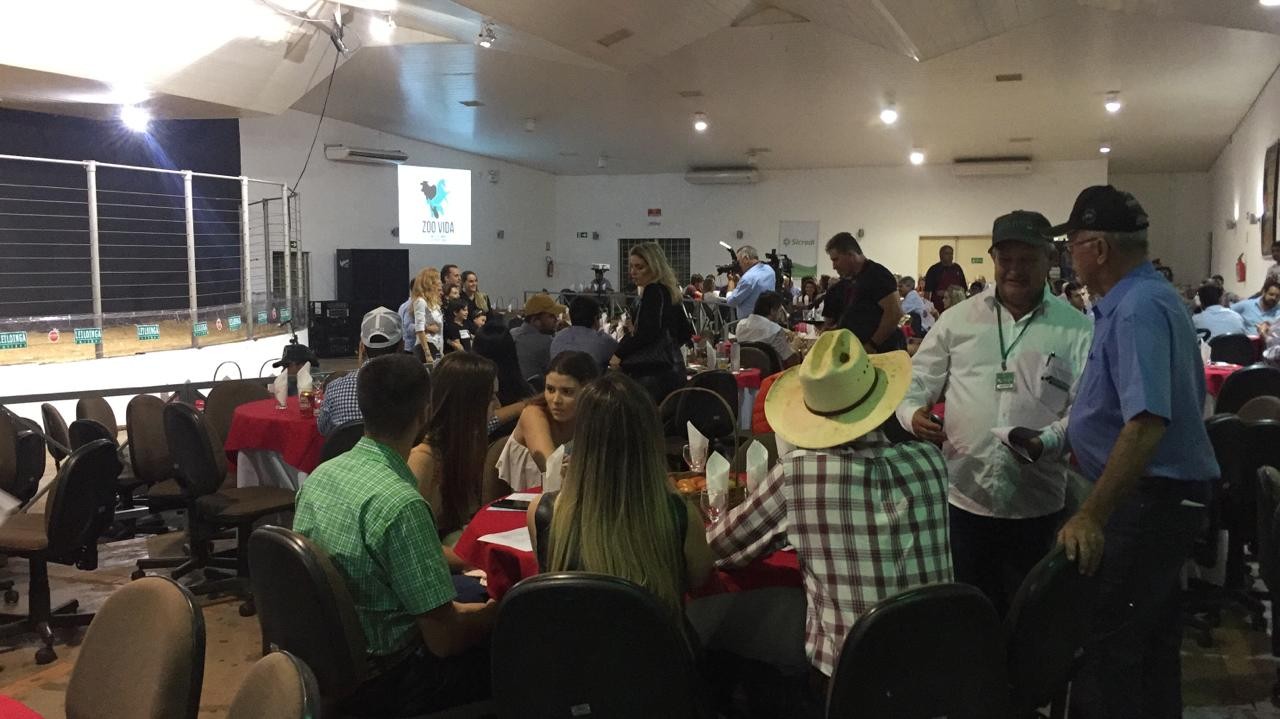 Primeiro leilão da Expoingá comercializa quase mil gados de corte