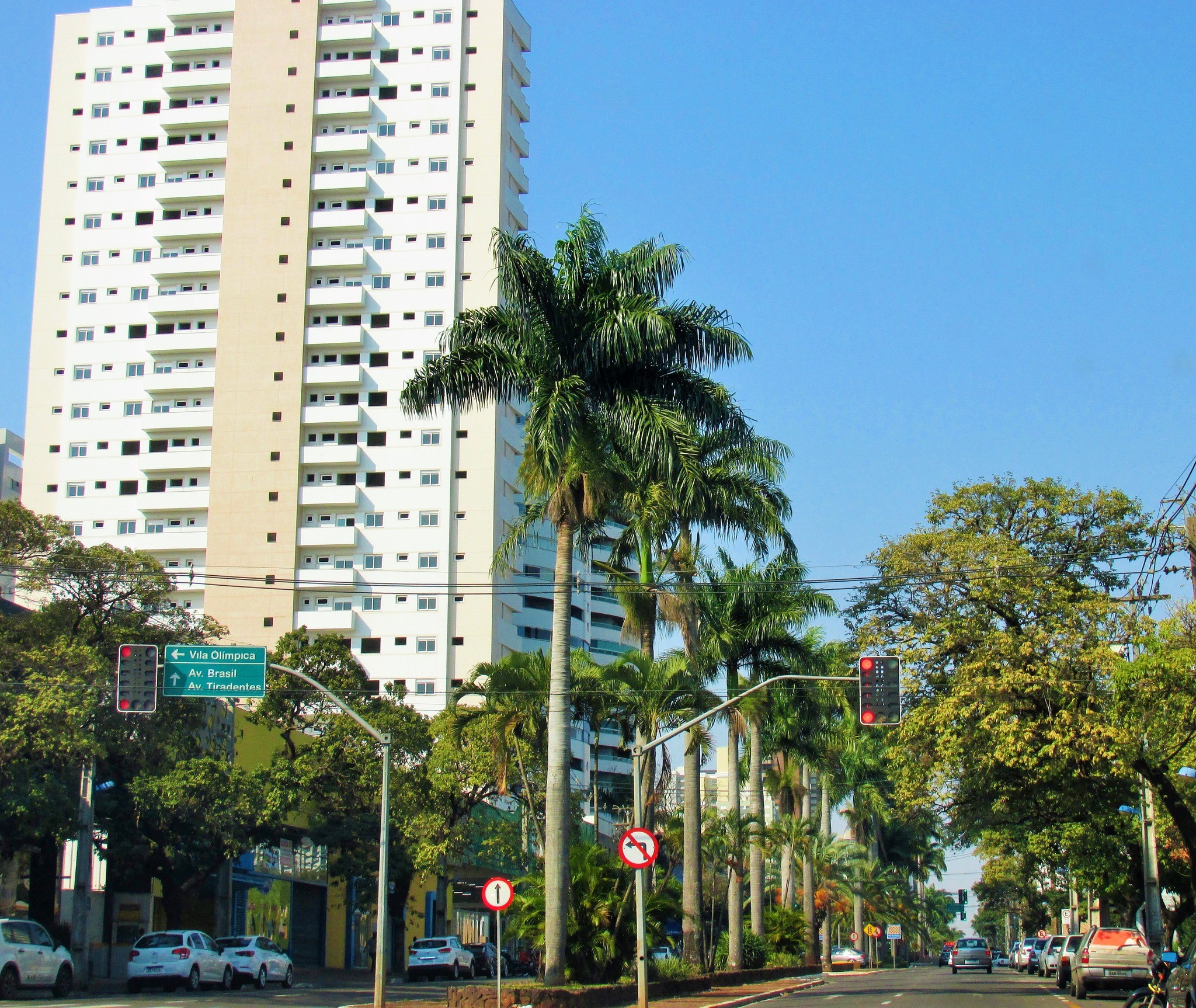 Quinta-feira (19) de tempo firme em Maringá; máxima chegará aos 34º C