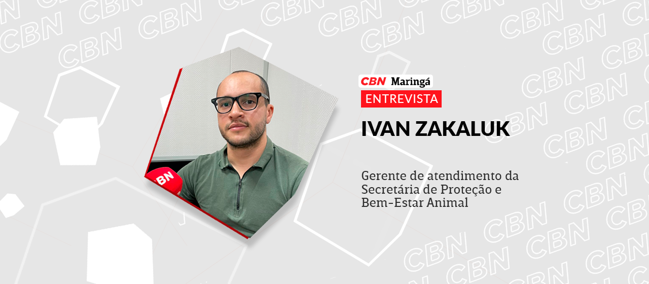 Desde 2017, foram realizadas 36.315 castrações de cães e gatos em Maringá