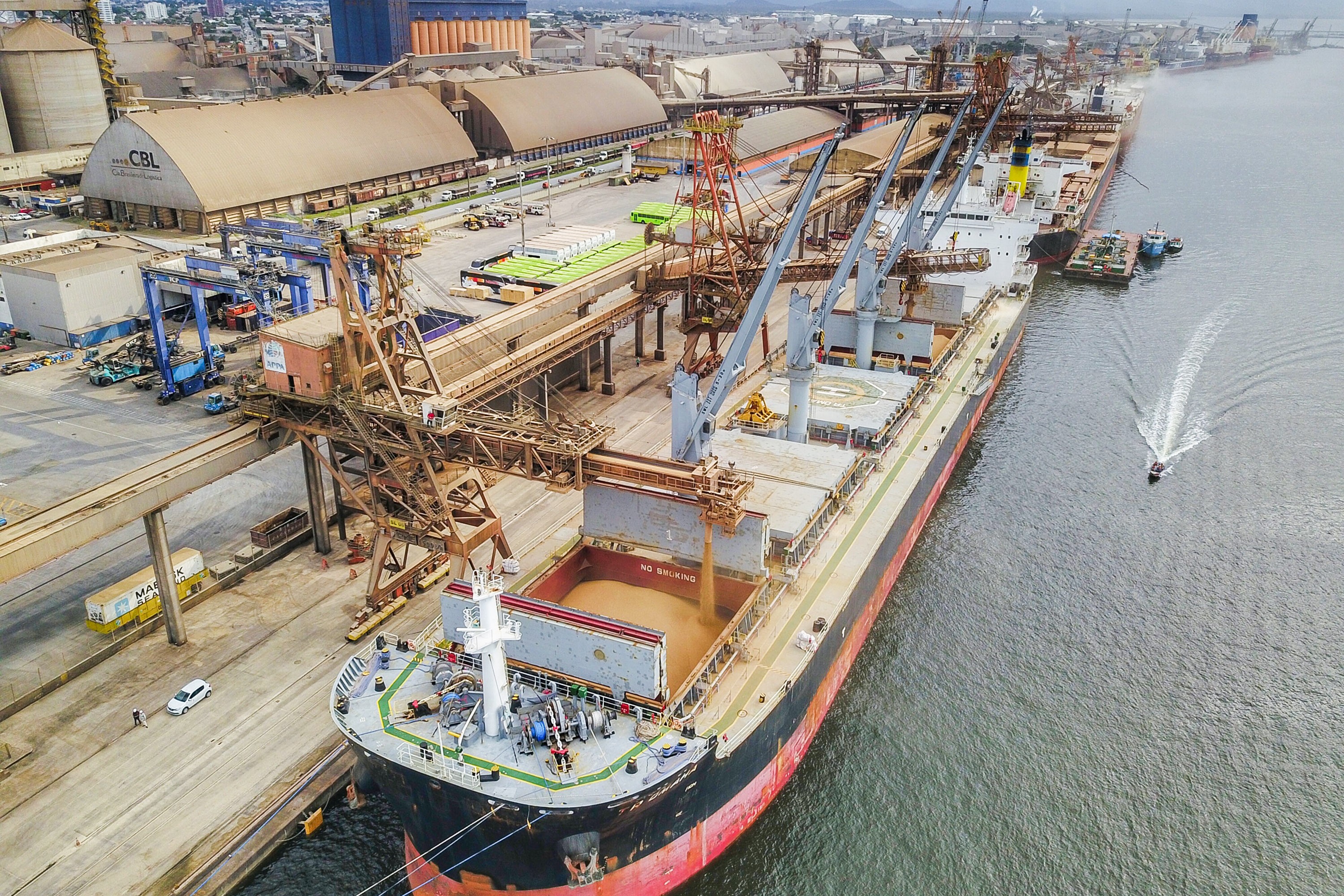 Imune à pandemia, movimentação de grãos deve crescer no Porto de Paranaguá