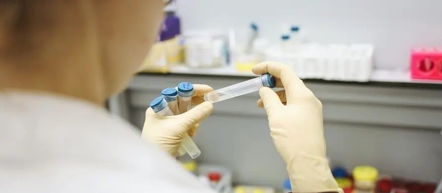 Covid-19: Maringá registra 493 novos casos e 2 óbitos no boletim desta terça-feira (22)