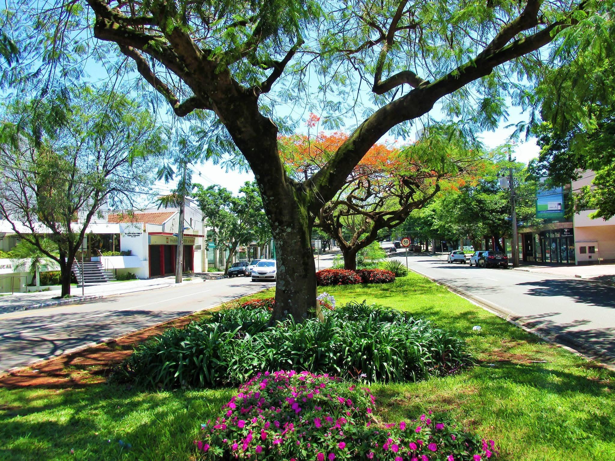 Maringá terá tempo firme e máxima de 29° C nesta quinta (23); confira previsão