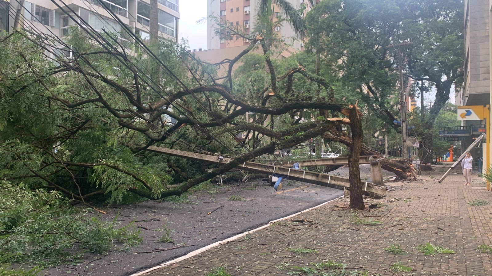 Defesa Civil registra mais de 500 chamados por causa da chuva