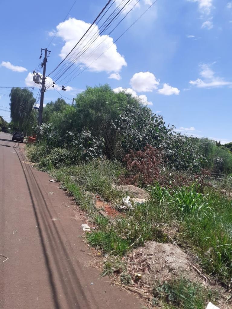Ouvintes reclamam de mato alto em calçadas de bairros de Maringá