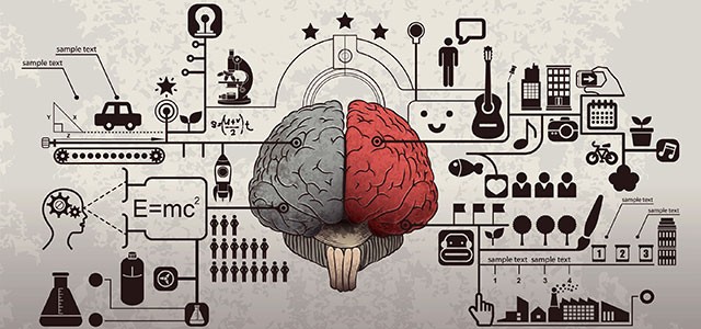 Você sabe o que é neuroplasticidade?