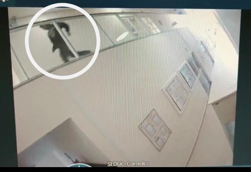 Câmera registrou suspeito de furtar 43 notebooks da Educação em Maringá