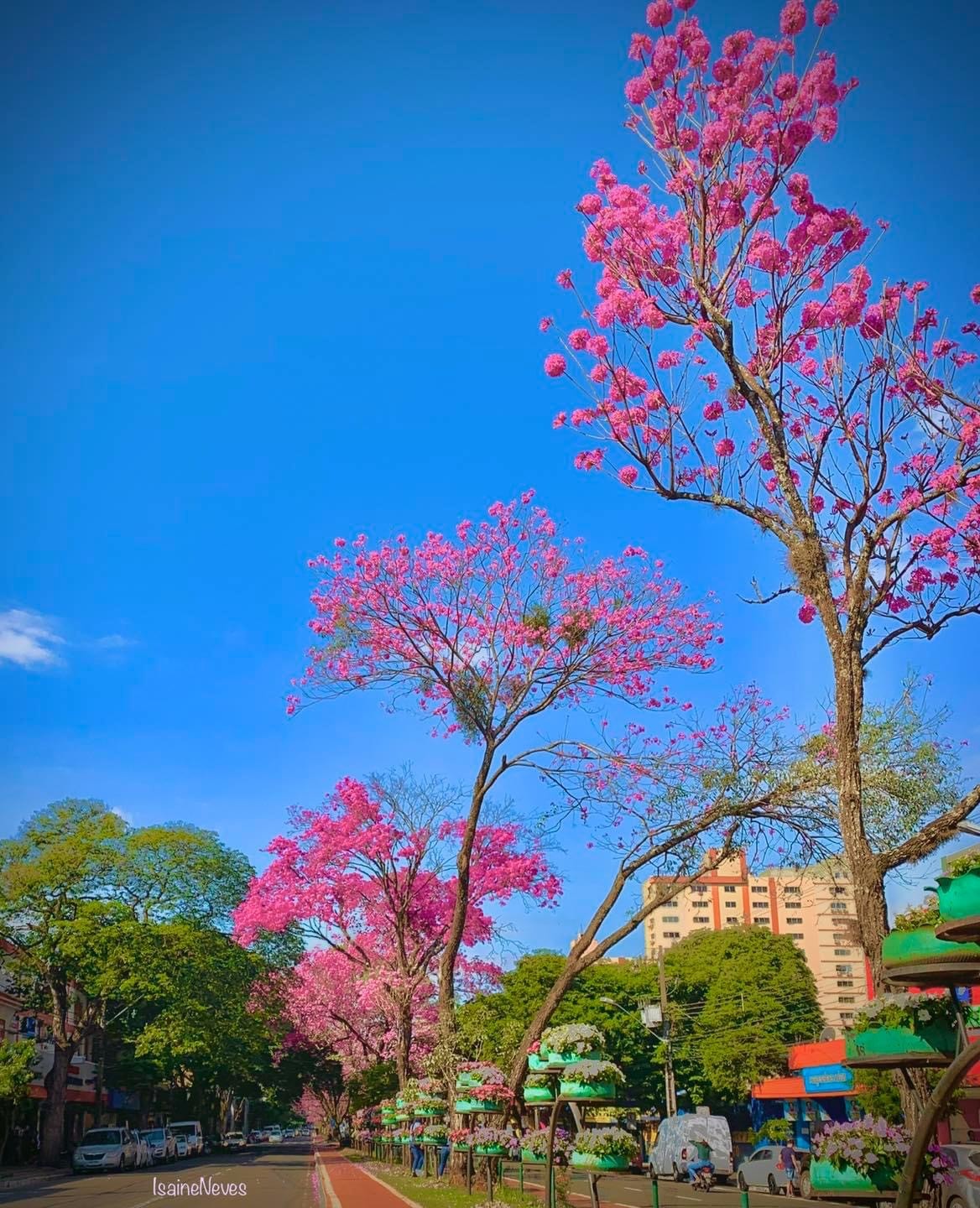 Maringá segue com tempo estável e altas temperaturas nesta sexta-feira (22)