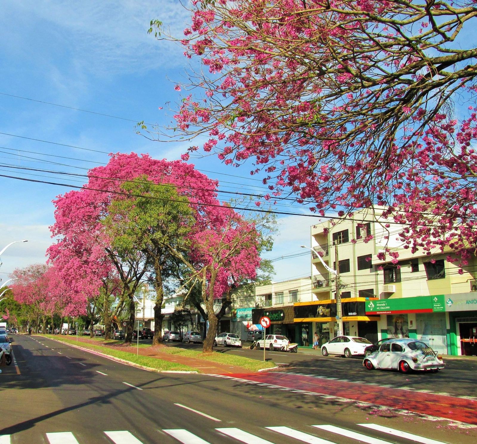 Temperaturas voltam a subir e Maringá tem máxima de 22°C nesta sexta-feira (12)