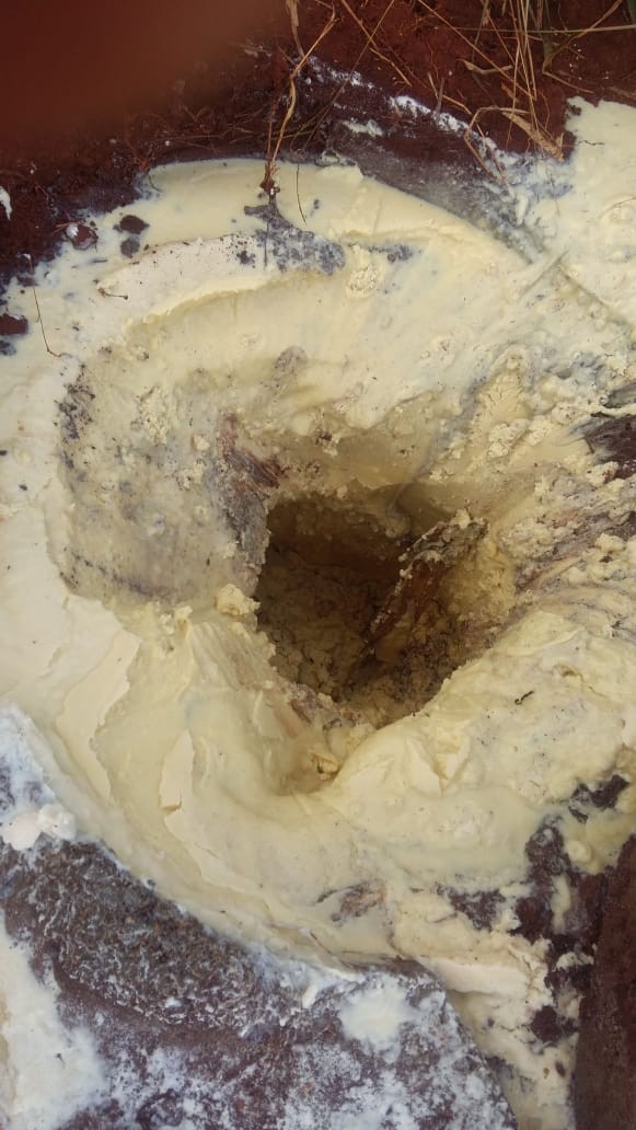 Oito mil quilos de gordura animal são retirados em rede de esgoto