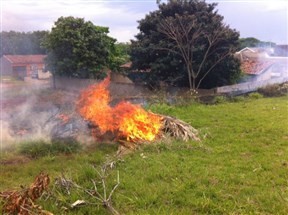 Incêndio em vegetação aumentou 46% em 2018 em Maringá