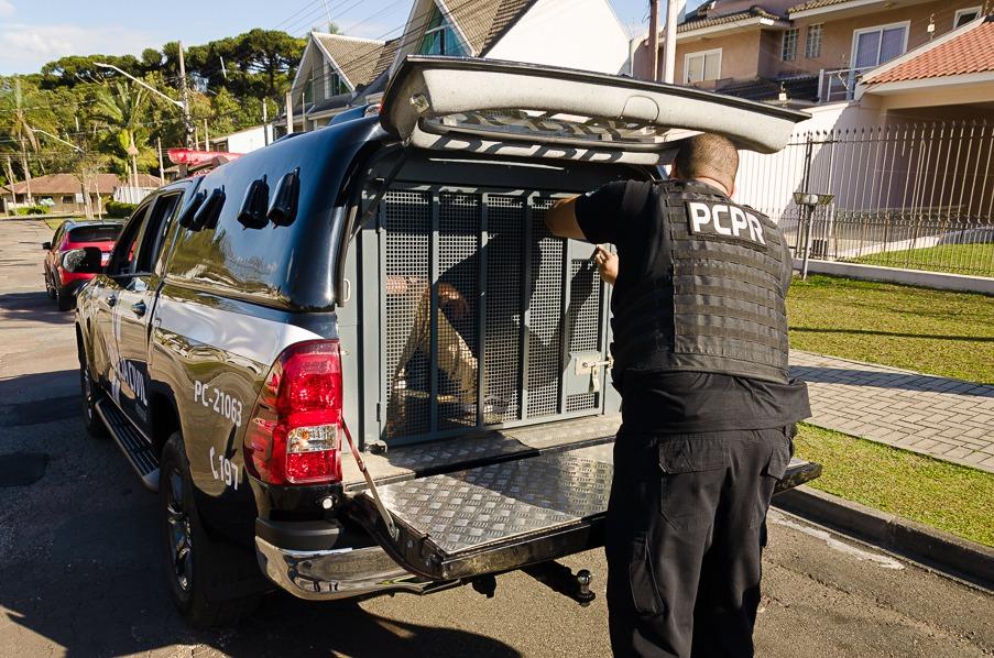 Homem é preso suspeito de abuso sexual contra crianças em Paranavaí