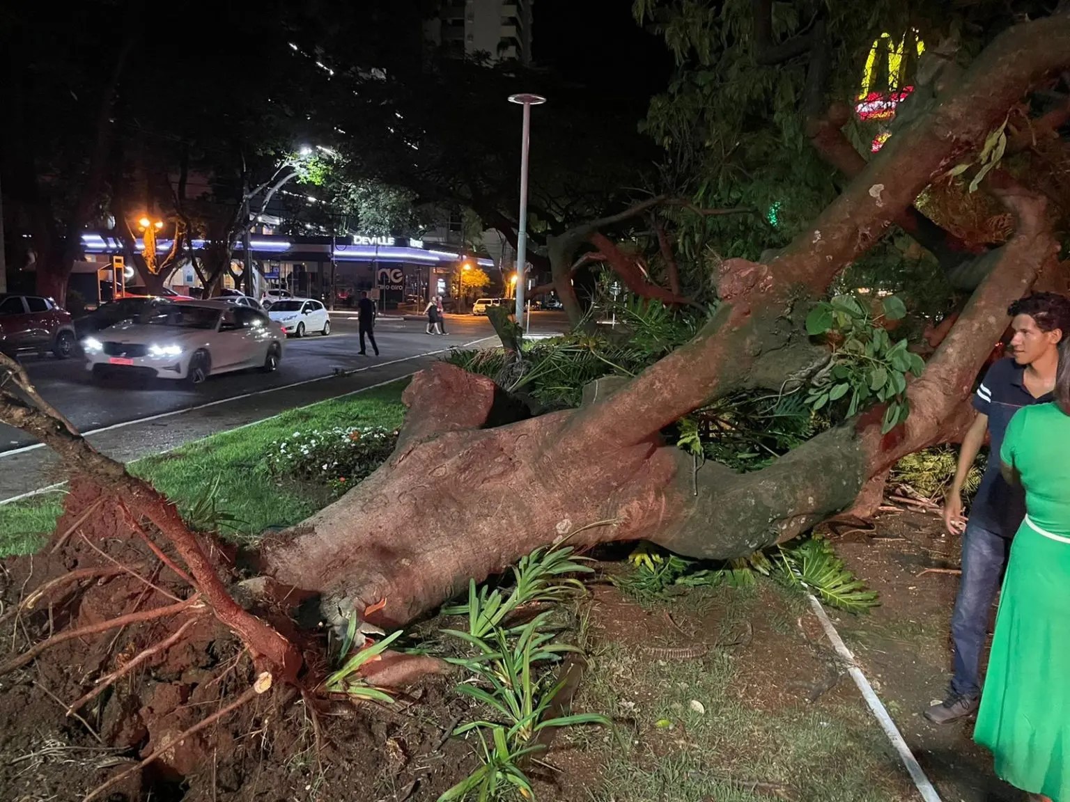 HB20 atingido por uma árvore na avenida Tiradentes. Foto: Siate