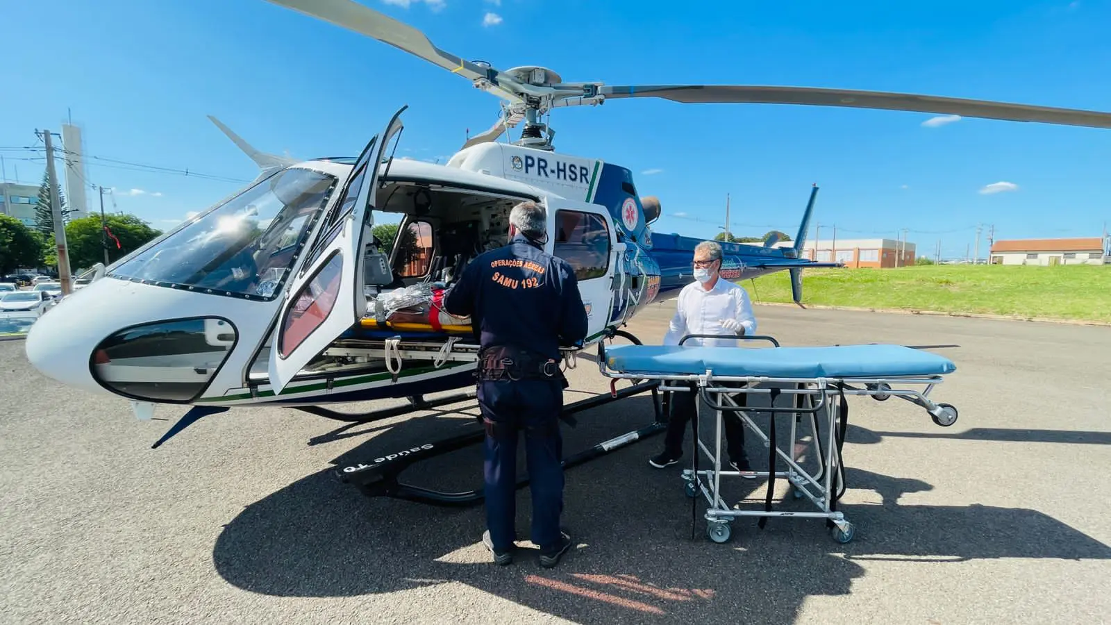 Idoso é entubado após levar dezenas de picadas de abelhas em Marialva
