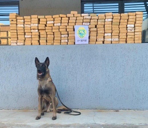 Cães da PM encontram 213 kg de crack em bitrem