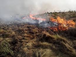 Bombeiros combatem incêndio às margens da BR-376