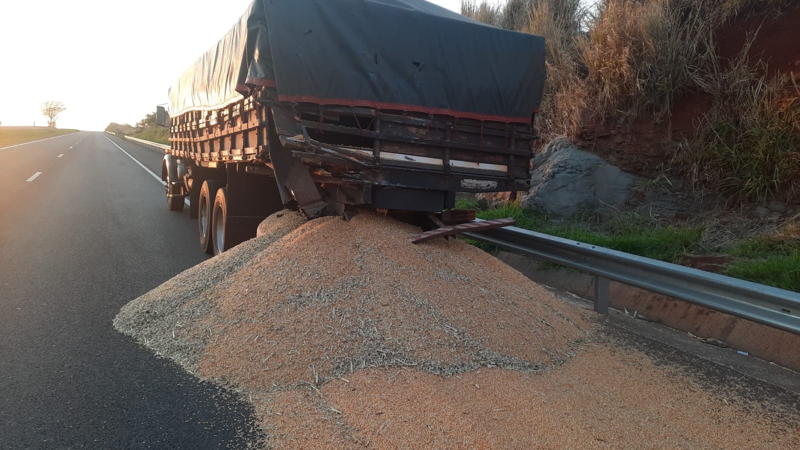 Acidente entre dois caminhões espalha carga em rodovia