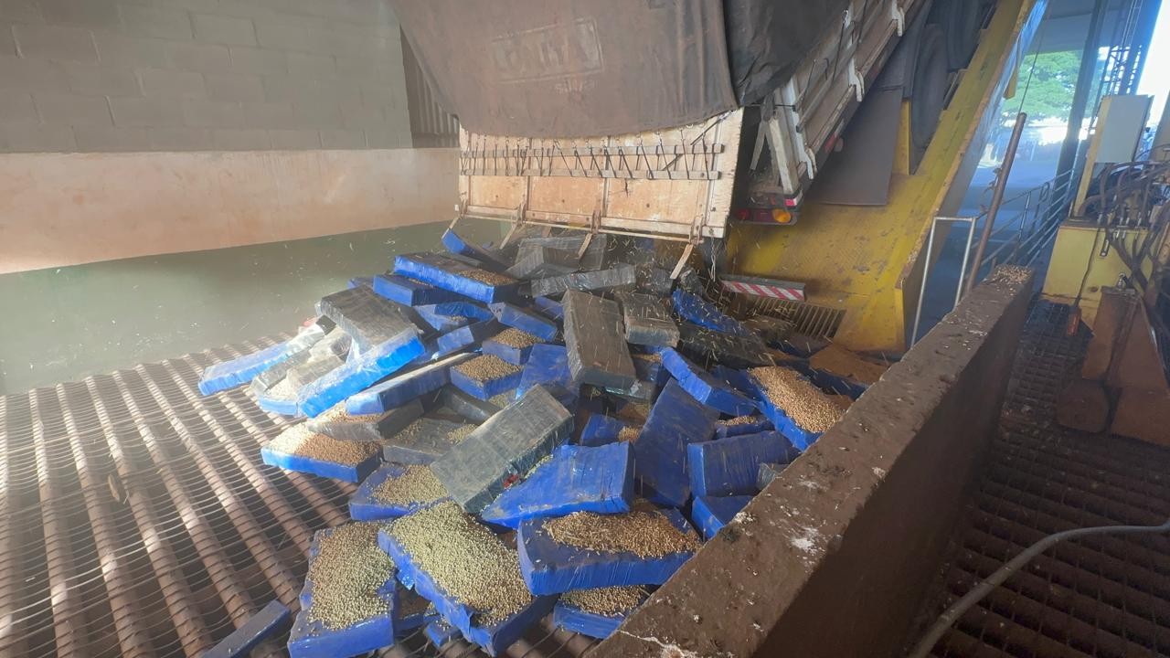 PRF e RF apreendem três toneladas e meia de maconha