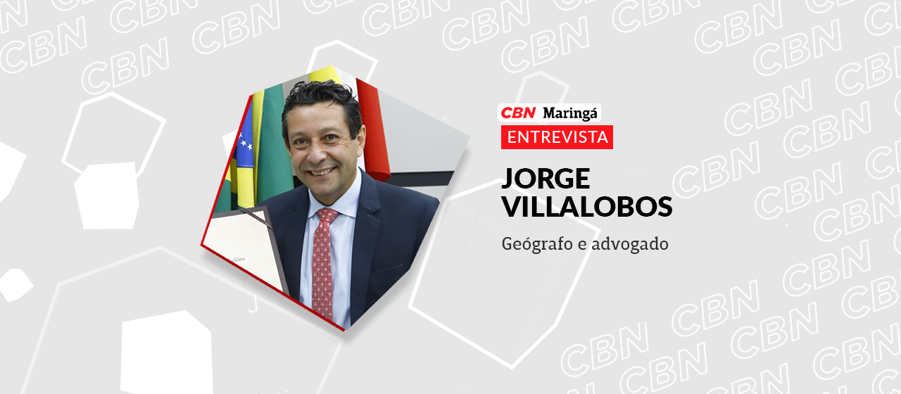 Arborização de Maringá tem muitos vazios porque ritmo de replantio não é adequado, diz especialista