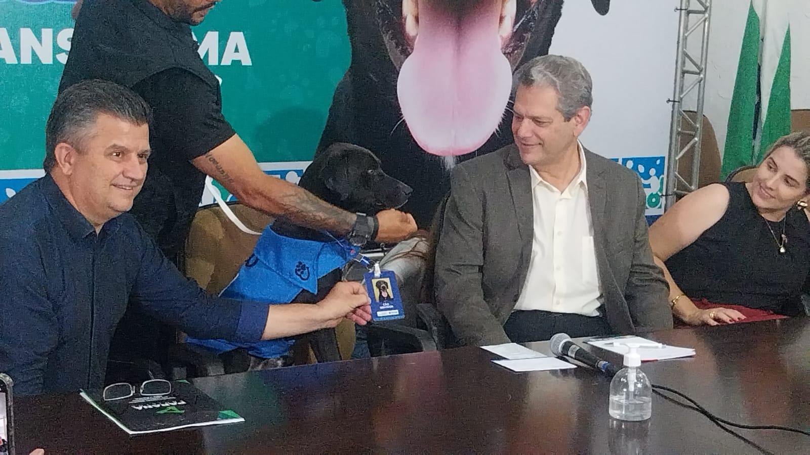 Cão servidor: prefeitura apresenta novo contratado; projeto terá parceria com Deppen