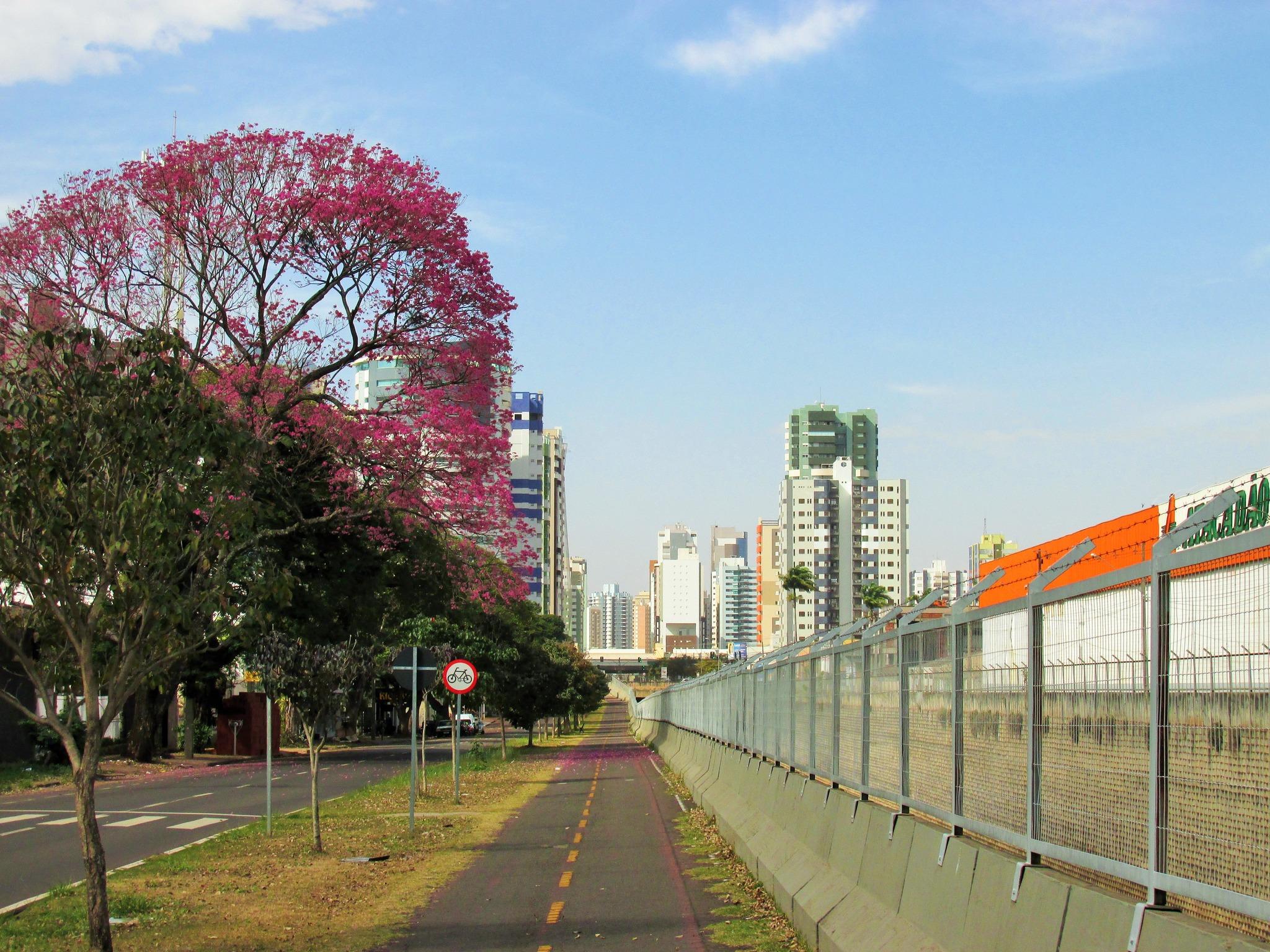 Veja como fica o tempo em Maringá nesta terça-feira (29)