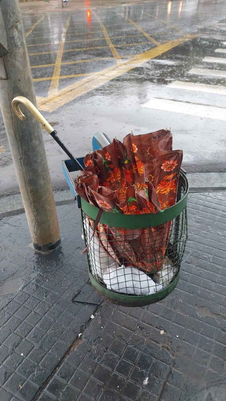 O guarda-chuva que não deu conta de suportar tanta água foi deixado na lixeira. | Foto: Luciana Peña/CBN Maringá