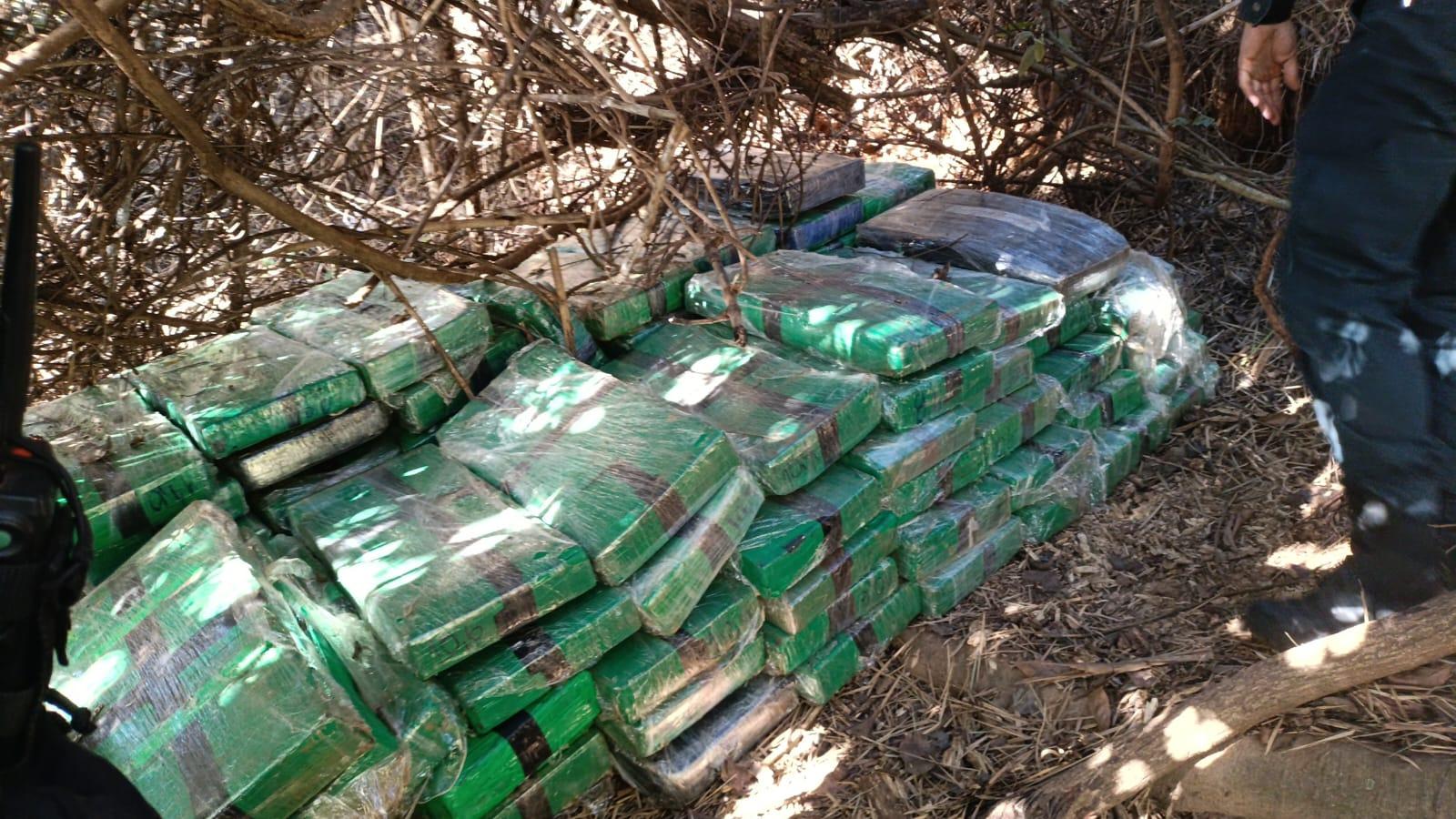 Mais de uma tonelada de maconha é apreendida em ilha na região