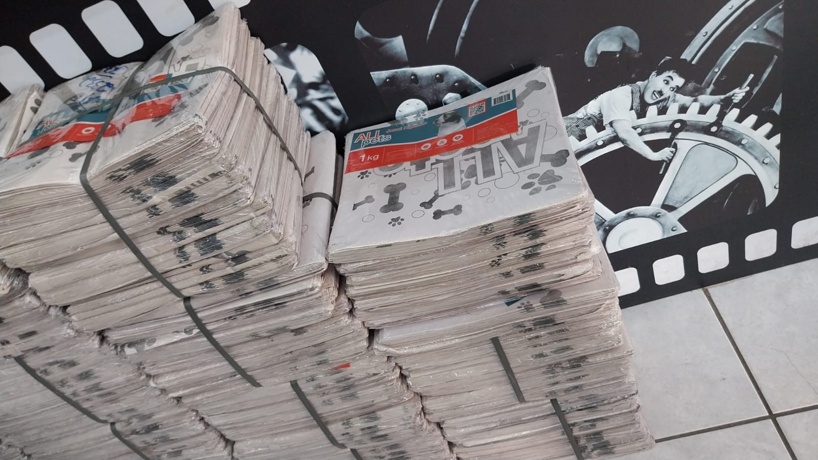 ‘Jornal impresso’ só para pets faz sucesso em sebo de livros