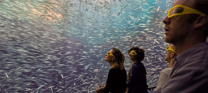 Museu mostra vida oceânica em 3D