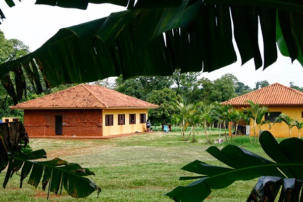 Associação Indigenista de Maringá tem mais de 20 integrantes com sintomas graves de dengue