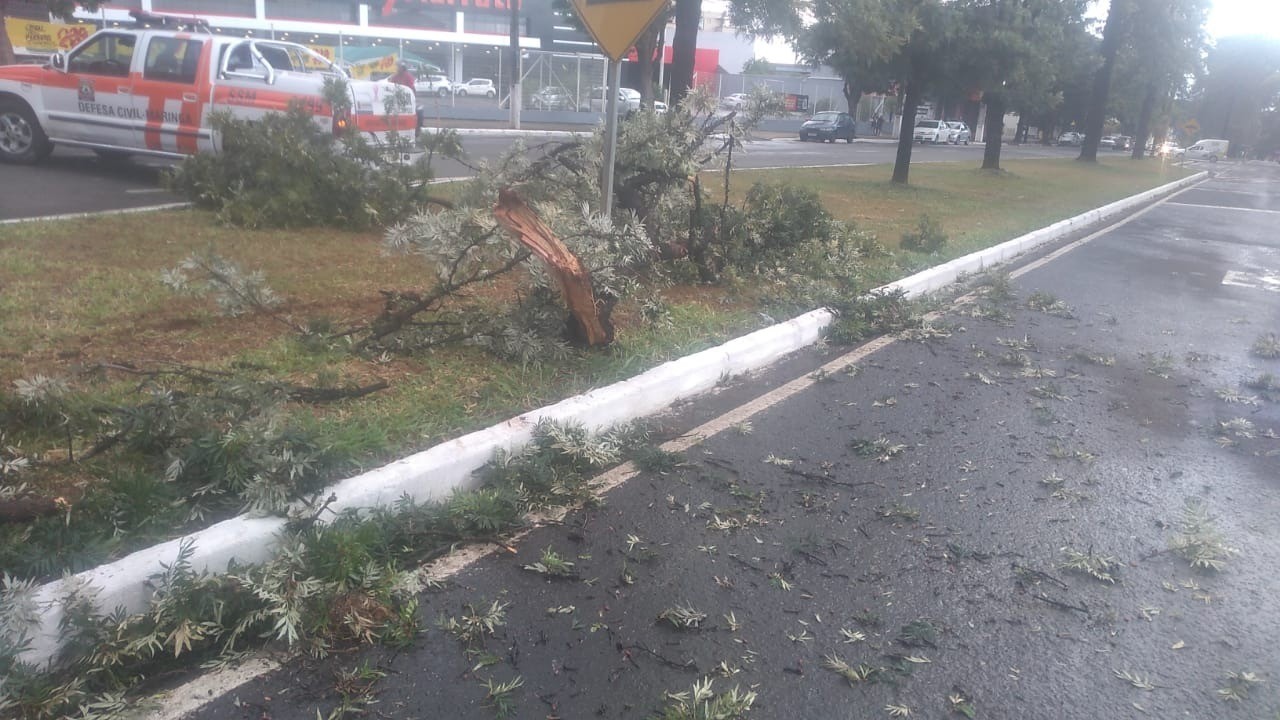 Foto: Defesa Civil/Maringá 