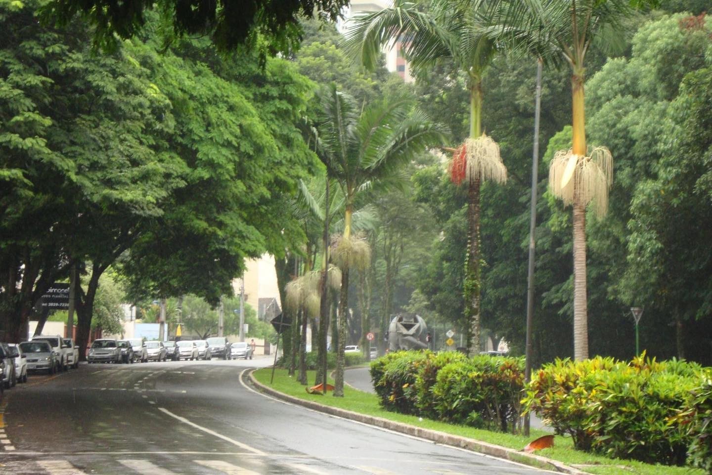 Maringá tem previsão de chuva e temperaturas amenas nesta terça-feira